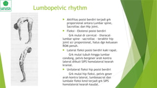 Biomekanik dan Kinesiologi Vertebra.pptx
