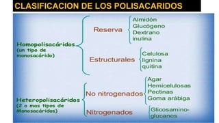 CLASIFICACION DE LOS POLISACARIDOS
 