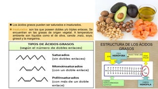  Los ácidos grasos pueden ser saturados e insaturados.
 Insaturados: son los que poseen dobles y/o triples enlaces. Se
encuentran en las grasas de origen vegetal. A temperatura
ambiente son líquidos como el de oliva, canola ,maíz, soya,
girasol y la margarina.
 