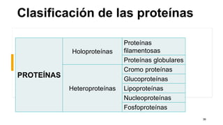PROTEÍNAS
Holoproteínas
Proteínas
filamentosas
Proteínas globulares
Heteroproteínas
Cromo proteínas
Glucoproteínas
Lipoproteínas
Nucleoproteínas
Fosfoproteínas
Clasificación de las proteínas
36
 