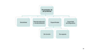 39
Propiedades de
las proteínas
Solubilidad
Desnaturalización
y renaturalización
Especificidad
De función De especie
Capacidad
amortiguadora
 
