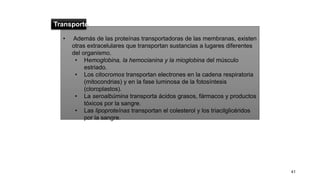 • Además de las proteínas transportadoras de las membranas, existen
otras extracelulares que transportan sustancias a lugares diferentes
del organismo.
• Hemoglobina, la hemocianina y la mioglobina del músculo
estriado.
• Los citocromos transportan electrones en la cadena respiratoria
(mitocondrias) y en la fase luminosa de la fotosíntesis
(cloroplastos).
• La seroalbúmina transporta ácidos grasos, fármacos y productos
tóxicos por la sangre.
• Las lipoproteínas transportan el colesterol y los triacilglicéridos
por la sangre.
41
Transporte
 