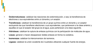 • Oxidorreductasas: catalizan las reacciones de oxidorreducción, o sea, la transferencia de
electrones o sus equivalentes entre un donante y un aceptor.
• Transferasas: catalizan la transferencia de un grupo químico entre un donante y un aceptor
excluyendo las que transfieren electrones o sus equivalentes, que pertenecen a la clase anterior y
aquellas en que el aceptor del grupo es el agua, pues pertenecen a la clase siguiente.
• Hidrolasas: catalizan la ruptura de enlaces químicos con la participación de moléculas de agua.
• Liasas: generan o hacen desaparecer dobles enlaces en forma no oxidativa.
• Isomerazas: catalizan la interconversion de isomeros.
• Ligazas: catalizan la unión covalente de 2 sustratos utilizando cualquier fuente de energía.
 