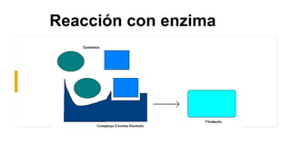 Reacción con enzima
 