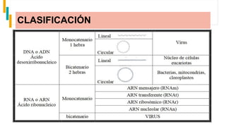 CLASIFICACIÓN
 