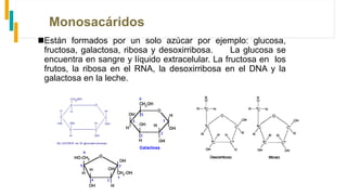 Monosacáridos
Están formados por un solo azúcar por ejemplo: glucosa,
fructosa, galactosa, ribosa y desoxirribosa. La glucosa se
encuentra en sangre y líquido extracelular. La fructosa en los
frutos, la ribosa en el RNA, la desoxirribosa en el DNA y la
galactosa en la leche.
Fructuosa
 