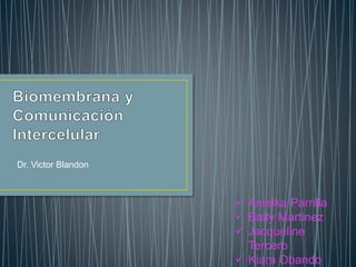  Anielka Parrilla
 Balty Martinez
 Jacqueline
Tercero
 Kiara Obando
Dr. Victor Blandon
 