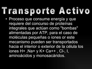 Proceso que consume energía y que requiere del concurso de proteínas integrales que actúan como "bombas" alimentadas por ATP, para el caso de moléculas pequeñas o iones or este mecanismo pueden ser transportados hacia el interior o exterior de la célula los iones H+ ,Na+ y K+ Ca++ , Cl-, I, aminoácidos y monosacáridos. Transporte Activo 