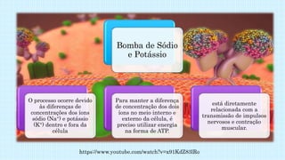 https://www.youtube.com/watch?v=x91KdZ83lRo
Bomba de Sódio
e Potássio
O processo ocorre devido
às diferenças de
concentrações dos íons
sódio (Na+) e potássio
(K+) dentro e fora da
célula
Para manter a diferença
de concentração dos dois
íons no meio interno e
externo da célula, é
preciso utilizar energia
na forma de ATP.
está diretamente
relacionada com a
transmissão de impulsos
nervosos e contração
muscular.
 
