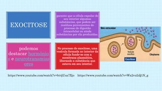 EXOCITOSE
garante que a célula expulse de
seu interior algumas
substâncias, que podem ser
resíduos provenientes do
processo de digestão
intracelular ou ainda
substâncias por ela produzidas.
podemos
destacar hormônio
s e neurotransmiss
ores
No processo de exocitose, uma
vesícula formada no interior da
célula funde-se com a
membrana plasmática,
liberando a substância que
estava em seu interior.
https://www.youtube.com/watch?v=bt4jUsa7Xjo https://www.youtube.com/watch?v=Wx2vuLQ1N_g
 