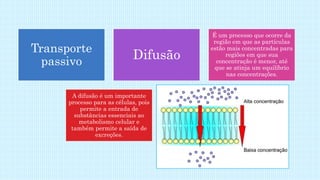 Transporte
passivo
Difusão
É um processo que ocorre da
região em que as partículas
estão mais concentradas para
regiões em que sua
concentração é menor, até
que se atinja um equilíbrio
nas concentrações.
A difusão é um importante
processo para as células, pois
permite a entrada de
substâncias essenciais ao
metabolismo celular e
também permite a saída de
excreções.
 