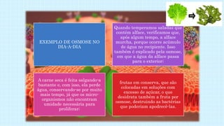EXEMPLO DE OSMOSE NO
DIA-A-DIA
Quando temperamos saladas que
contêm alface, verificamos que,
após algum tempo, a alface
murcha, porque ocorre acúmulo
de água no recipiente. Isso
também é explicado pela osmose,
em que a água da alface passa
para o exterior;
A carne seca é feita salgando-a
bastante e, com isso, ela perde
água, conservando-se por muito
mais tempo, já que os micro-
organismos não encontram
umidade necessária para
proliferar;
frutas em conserva, que são
colocadas em soluções com
excesso de açúcar, o que
desidrata também a fruta por
osmose, destruindo as bactérias
que poderiam apodrecê-las.
 