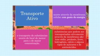 Transporte
Ativo
ocorre através da membrana
celular com gasto de energia
o transporte de substâncias
ocorre do local de menor
para o de maior
concentração.
substâncias que podem ser
transportadas ativamente
através da membrana são:
íons sódio, potássio, ferro,
hidrogênio, cálcio e alguns
tipos de açúcares e de
aminoácidos.
 