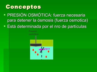 Conceptos
 PRESIÓN OSMÓTICA: fuerza necesaria
  para detener la ósmosis (fuerza osmotica)
 Está determinada por el nro de partículas
            Presión
            osmótica




                       agua
 