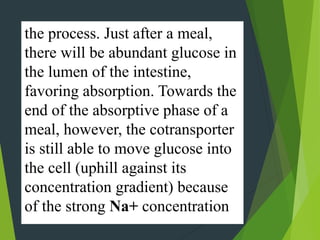the process. Just after a meal,
there will be abundant glucose in
the lumen of the intestine,
favoring absorption. Towards the
end of the absorptive phase of a
meal, however, the cotransporter
is still able to move glucose into
the cell (uphill against its
concentration gradient) because
of the strong Na+ concentration
 