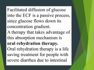 Facilitated diffusion of glucose
into the ECF is a passive process,
since glucose flows down its
concentration gradient.
A therapy that takes advantage of
this absorption mechanism is
oral rehydration therapy.
Oral rehydration therapy is a life
saving treatment for people with
severe diarrhea due to intestinal
 