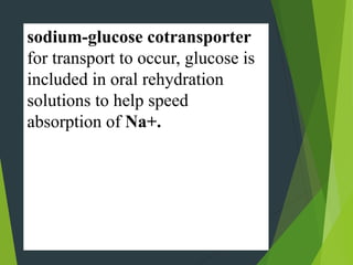 sodium-glucose cotransporter
for transport to occur, glucose is
included in oral rehydration
solutions to help speed
absorption of Na+.
 