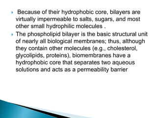  Because of their hydrophobic core, bilayers are
virtually impermeable to salts, sugars, and most
other small hydrophilic molecules .
 The phospholipid bilayer is the basic structural unit
of nearly all biological membranes; thus, although
they contain other molecules (e.g., cholesterol,
glycolipids, proteins), biomembranes have a
hydrophobic core that separates two aqueous
solutions and acts as a permeability barrier
 