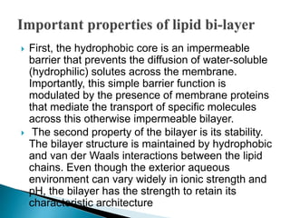  First, the hydrophobic core is an impermeable
barrier that prevents the diffusion of water-soluble
(hydrophilic) solutes across the membrane.
Importantly, this simple barrier function is
modulated by the presence of membrane proteins
that mediate the transport of specific molecules
across this otherwise impermeable bilayer.
 The second property of the bilayer is its stability.
The bilayer structure is maintained by hydrophobic
and van der Waals interactions between the lipid
chains. Even though the exterior aqueous
environment can vary widely in ionic strength and
pH, the bilayer has the strength to retain its
characteristic architecture
 