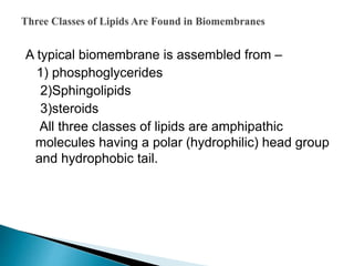 A typical biomembrane is assembled from –
1) phosphoglycerides
2)Sphingolipids
3)steroids
All three classes of lipids are amphipathic
molecules having a polar (hydrophilic) head group
and hydrophobic tail.
 