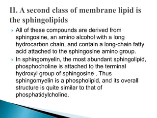  All of these compounds are derived from
sphingosine, an amino alcohol with a long
hydrocarbon chain, and contain a long-chain fatty
acid attached to the sphingosine amino group.
 In sphingomyelin, the most abundant sphingolipid,
phosphocholine is attached to the terminal
hydroxyl group of sphingosine . Thus
sphingomyelin is a phospholipid, and its overall
structure is quite similar to that of
phosphatidylcholine.
 