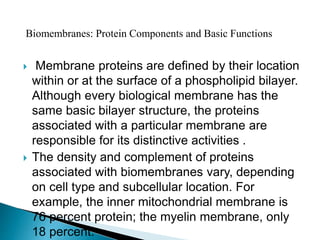  Membrane proteins are defined by their location
within or at the surface of a phospholipid bilayer.
Although every biological membrane has the
same basic bilayer structure, the proteins
associated with a particular membrane are
responsible for its distinctive activities .
 The density and complement of proteins
associated with biomembranes vary, depending
on cell type and subcellular location. For
example, the inner mitochondrial membrane is
76 percent protein; the myelin membrane, only
18 percent.
Biomembranes: Protein Components and Basic Functions
 