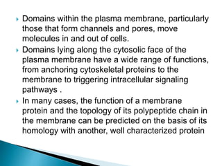  Domains within the plasma membrane, particularly
those that form channels and pores, move
molecules in and out of cells.
 Domains lying along the cytosolic face of the
plasma membrane have a wide range of functions,
from anchoring cytoskeletal proteins to the
membrane to triggering intracellular signaling
pathways .
 In many cases, the function of a membrane
protein and the topology of its polypeptide chain in
the membrane can be predicted on the basis of its
homology with another, well characterized protein
 