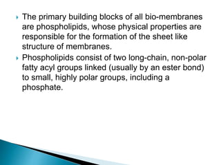  The primary building blocks of all bio-membranes
are phospholipids, whose physical properties are
responsible for the formation of the sheet like
structure of membranes.
 Phospholipids consist of two long-chain, non-polar
fatty acyl groups linked (usually by an ester bond)
to small, highly polar groups, including a
phosphate.
 