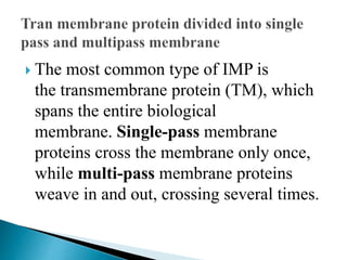  The most common type of IMP is
the transmembrane protein (TM), which
spans the entire biological
membrane. Single-pass membrane
proteins cross the membrane only once,
while multi-pass membrane proteins
weave in and out, crossing several times.
 