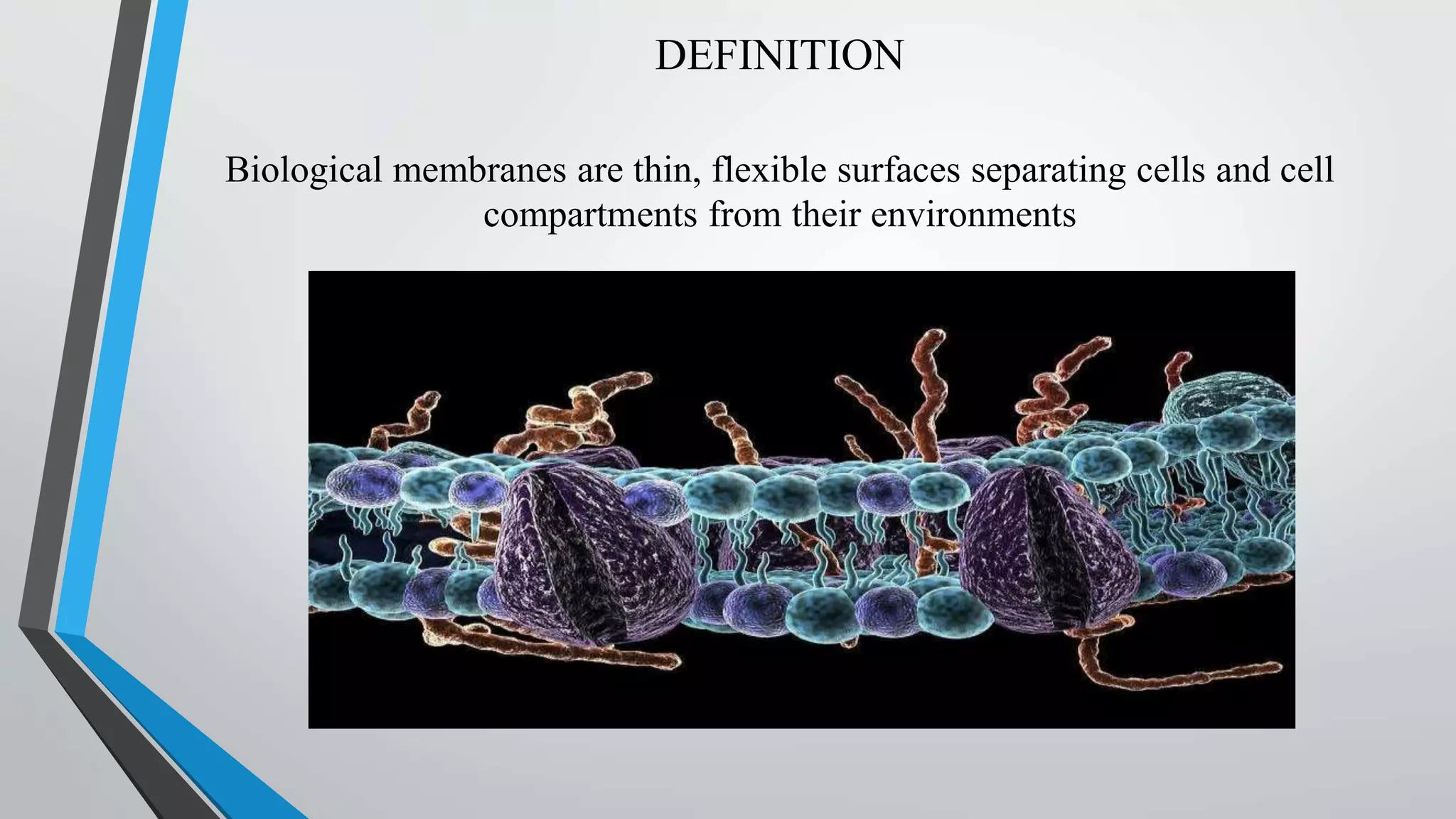Biomembrane System Biomembranes (lipids, proteins, carbohydrates) | PPTX