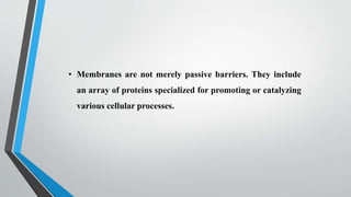 Biomembranes (lipids, proteins, carbohydrates)