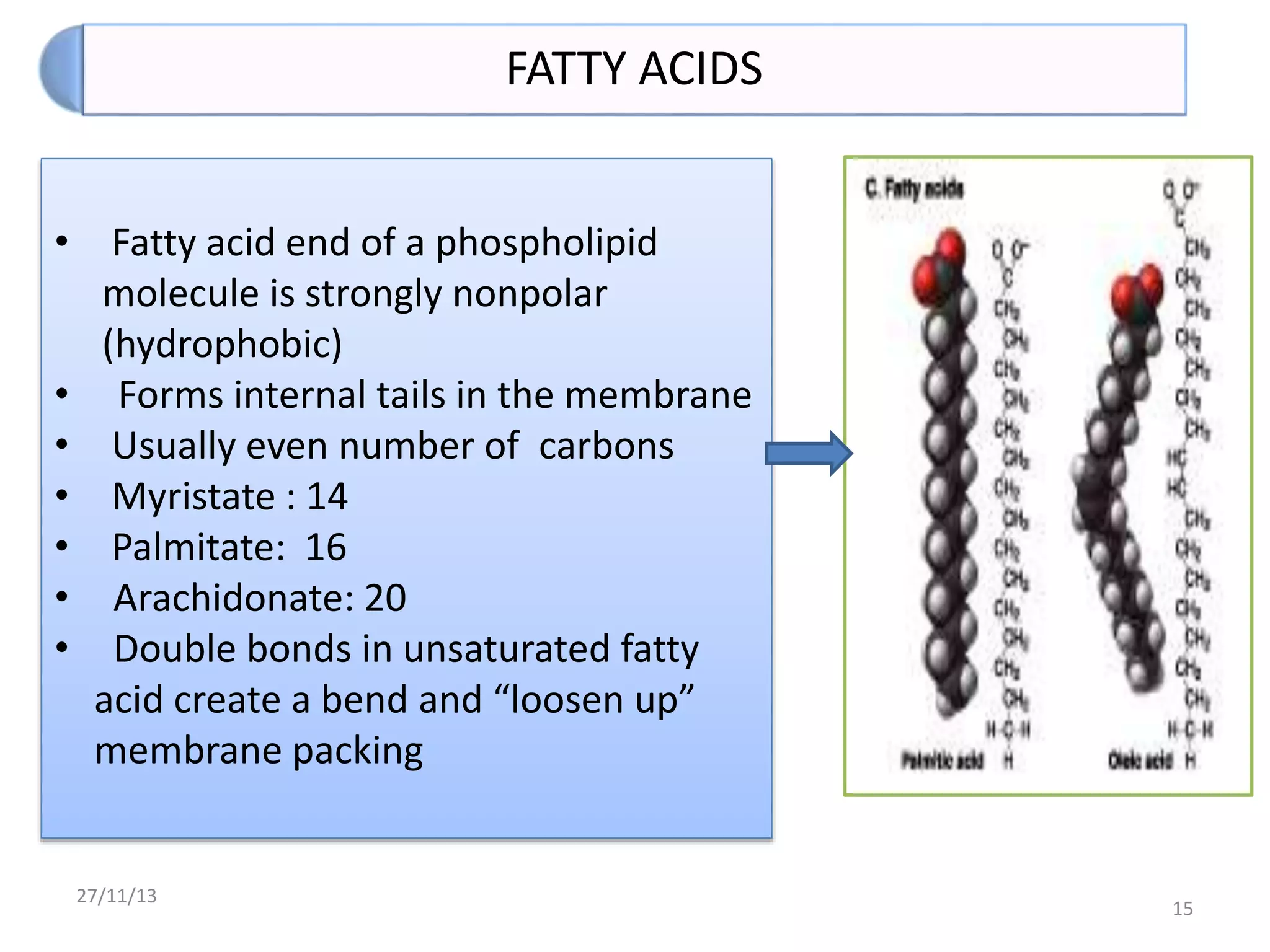Biomembranes and biofilms saurabh | PPTX