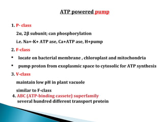ATP powered pump
1. P- class
2α, 2β subunit; can phosphorylation
i.e. Na+-K+ ATP ase, Ca+ATP ase, H+pump
2. F-class
 locate on bacterial membrane , chloroplast and mitochondria
 pump proton from exoplasmic space to cytosolic for ATP synthesis
3. V-class
maintain low pH in plant vacuole
similar to F-class
4. ABC (ATP-binding cassete) superfamily
several hundred different transport protein
 