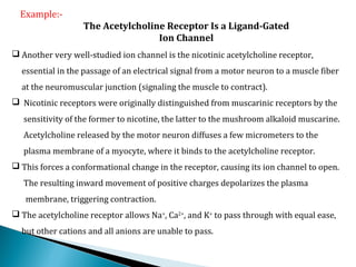 Example:-
The Acetylcholine Receptor Is a Ligand-Gated
Ion Channel
 Another very well-studied ion channel is the nicotinic acetylcholine receptor,
essential in the passage of an electrical signal from a motor neuron to a muscle fiber
at the neuromuscular junction (signaling the muscle to contract).
 Nicotinic receptors were originally distinguished from muscarinic receptors by the
sensitivity of the former to nicotine, the latter to the mushroom alkaloid muscarine.
Acetylcholine released by the motor neuron diffuses a few micrometers to the
plasma membrane of a myocyte, where it binds to the acetylcholine receptor.
 This forces a conformational change in the receptor, causing its ion channel to open.
The resulting inward movement of positive charges depolarizes the plasma
membrane, triggering contraction.
 The acetylcholine receptor allows Na+
, Ca2+
, and K+
to pass through with equal ease,
but other cations and all anions are unable to pass.
 