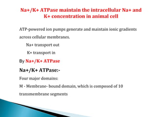 Na+/K+ ATPase maintain the intracellular Na+ and
K+ concentration in animal cell
ATP-powered ion pumps generate and maintain ionic gradients
across cellular membranes.
Na+ transport out
K+ transport in
By Na+/K+ ATPase
Na+/K+ ATPase:-
Four major domains:
M - Membrane- bound domain, which is composed of 10
transmembrane segments
 