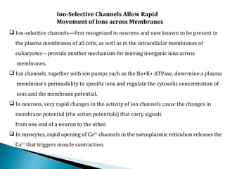 Ion-Selective Channels Allow Rapid
Movement of Ions across Membranes
 Ion-selective channels—first recognized in neurons and now known to be present in
the plasma membranes of all cells, as well as in the intracellular membranes of
eukaryotes—provide another mechanism for moving inorganic ions across
membranes.
 Ion channels, together with ion pumps such as the Na+K+ ATPase, determine a plasma
membrane’s permeability to specific ions and regulate the cytosolic concentration of
ions and the membrane potential.
 In neurons, very rapid changes in the activity of ion channels cause the changes in
membrane potential (the action potentials) that carry signals
from one end of a neuron to the other.
 In myocytes, rapid opening of Ca2+
channels in the sarcoplasmic reticulum releases the
Ca2+
that triggers muscle contraction.
 