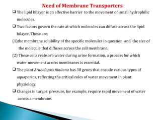 Need of Membrane Transporters
 The lipid bilayer is an effective barrier to the movement of small hydrophilic
molecules.
 Two factors govern the rate at which molecules can diffuse across the lipid
bilayer. These are:
(1)the membrane solubility of the specific molecules in question and the size of
the molecule that diffuses across the cell membrane.
(2) These cells reabsorb water during urine formation, a process for which
water movement across membranes is essential.
 The plant Arabidopsis thaliana has 38 genes that encode various types of
aquaporins, reflecting the critical roles of water movement in plant
physiology.
 Changes in turgor pressure, for example, require rapid movement of water
across a membrane.
 