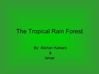 The Tropical Rain Forest By: Alishan Kaisani & Ismar  