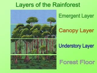 Powerpoint On Biomes biome powerpoint.ppt
