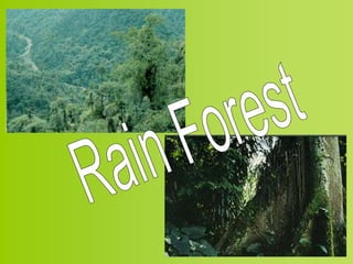 Powerpoint On Biomes biome powerpoint.ppt