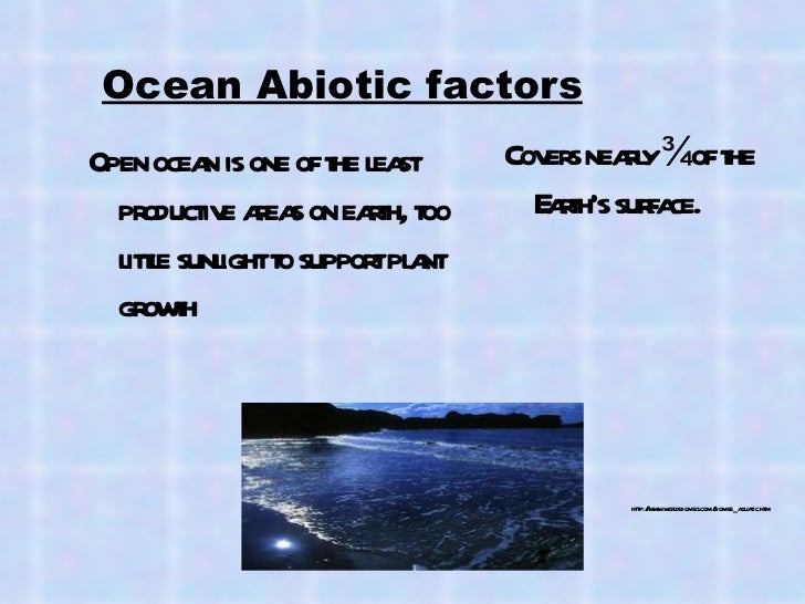 what abiotic factors are in the ocean what abiotic factors are in the ocean