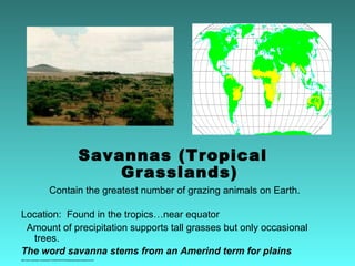 Savannas (Tropical
                                                              Grasslands)
                            Contain the greatest number of grazing animals on Earth.

Location: Found in the tropics…near equator
 Amount of precipitation supports tall grasses but only occasional
  trees.
The word savanna stems from an Amerind term for plains
http://www.runet.edu/~swoodwar/CLASSES/GEOG235/biomes/savanna/savanna.html
 