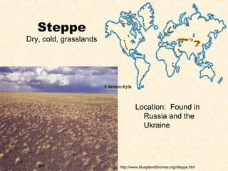 Steppe
Dry, cold, grasslands




                                Location: Found in
                                  Russia and the
                                  Ukraine




                        http://www.blueplanetbiomes.org/steppe.htm
 