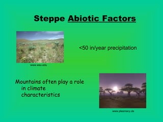 Steppe Abiotic Factors


                         <50 in/year precipitation


     www.wsu.edu




Mountains often play a role
 in climate
 characteristics

                                       www.plasmacy.de
 