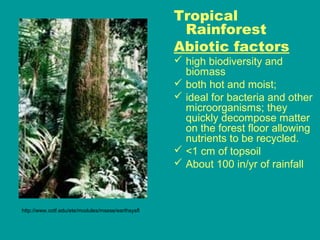 Tropical
                                                    Rainforest
                                                   Abiotic factors
                                                    high biodiversity and
                                                     biomass
                                                    both hot and moist;
                                                    ideal for bacteria and other
                                                     microorganisms; they
                                                     quickly decompose matter
                                                     on the forest floor allowing
                                                     nutrients to be recycled.
                                                    <1 cm of topsoil
                                                    About 100 in/yr of rainfall



http://www.cotf.edu/ete/modules/msese/earthsysfl
 