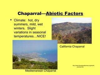 Chaparral—Abiotic Factors
 Climate: hot, dry
  summers, mild, wet
  winters. Slight
  variations in seasonal
  temperatures…NICE!


                                    California Chaparral




                                              http://www.blueplanetbiomes.org/world
                                                      _biomes.htm


          Mediterranean Chaparral
 