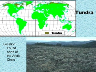 Tundra




Location:
  Found
  north of
  the Arctic
  Circle

 http://www.runet.edu/~swoodwar/CLASSES/GEOG235/biomes/tundra/tundra.html
 