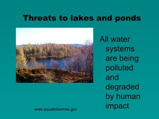 Threats to lakes and ponds

                          All water
                           systems
                           are being
                           polluted
                           and
                           degraded
                           by human
  www.aquaticbiomes.gov
                           impact
 