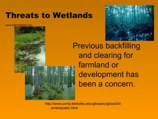 Threats to Wetlands
www.kathimitchell.com




                                         Previous backfilling
                                          and clearing for
                                          farmland or
                                          development has
                                          been a concern.

                        http://www.ucmp.berkeley.edu/glossary/gloss5/bi
                            ome/aquatic.html
 