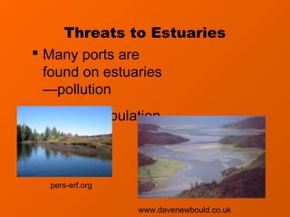Threats to Estuaries
 Many ports are
  found on estuaries
  —pollution
 Human population



  pers-erf.org


                 www.davenewbould.co.uk
 
